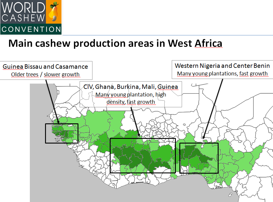 Рис. 12. Основные производящие орехи кешью районы в Западной Африке