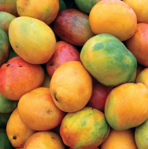 ripe mango fruit